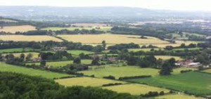 The Sussex countryside